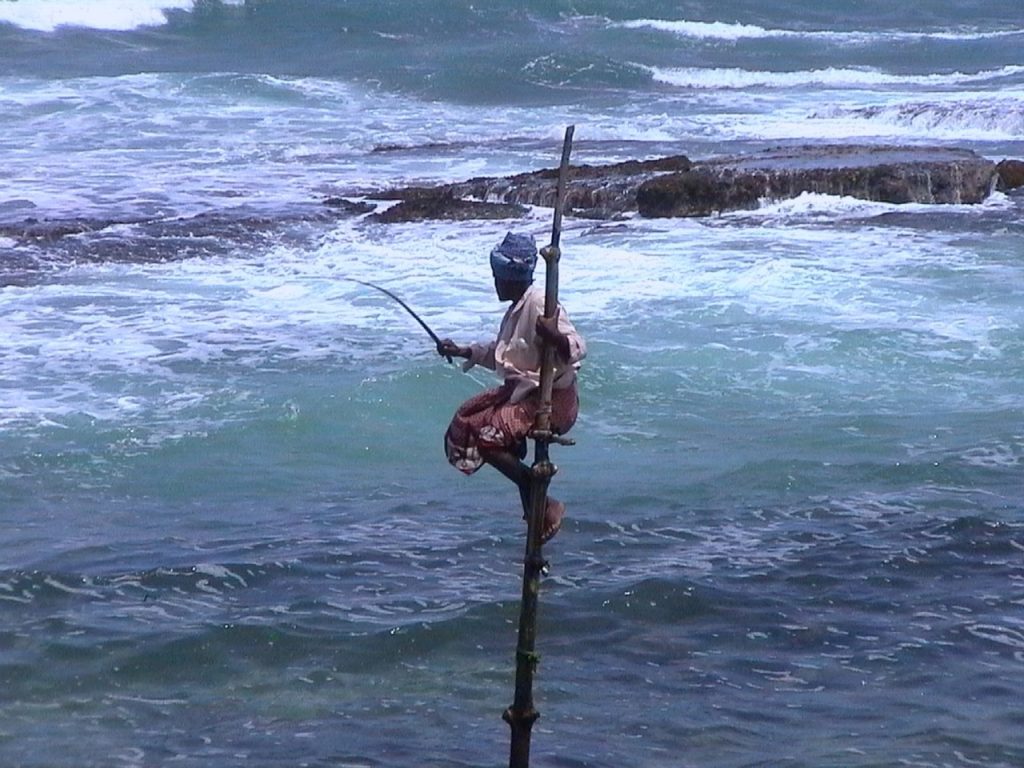fishing, fisherman, sri lanka-94998.jpg